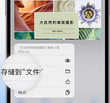 城关apple维修中心分享iPhone文件应用中存储和找到下载文件