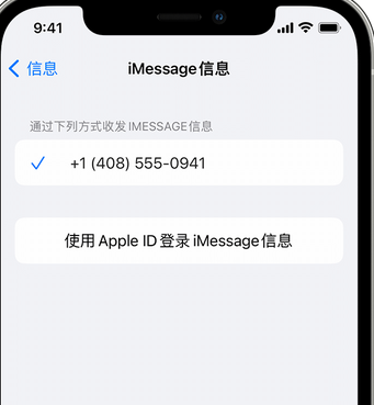 城关apple维修iPhone上无法正常发送iMessage信息 