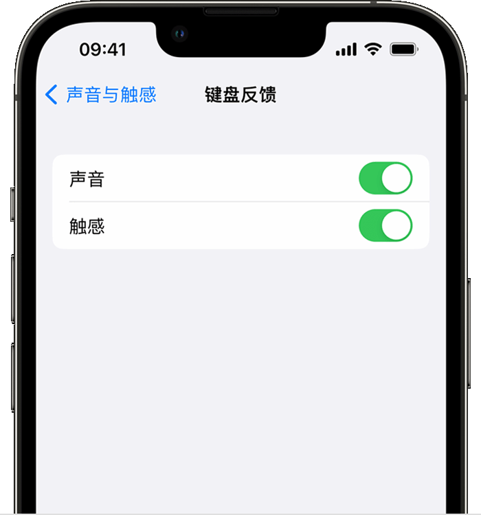 城关苹果14维修店分享如何在 iPhone 14 机型中使用触感键盘 