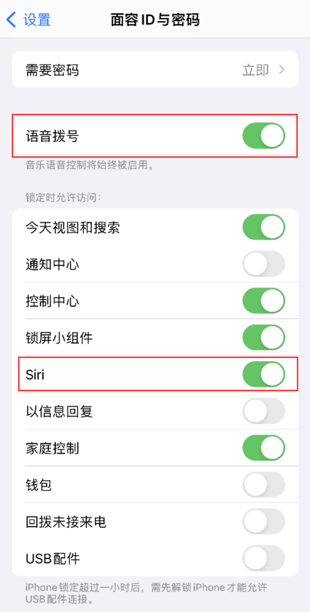 城关苹果维修网点分享不解锁 iPhone 的情况下通过 Siri 拨打电话的方法 