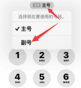 城关苹果14维修店分享iPhone 14 Pro Max使用副卡打电话的方法 