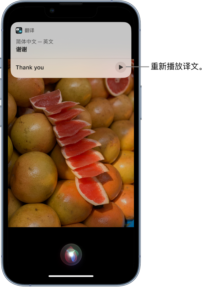 城关苹果14维修分享 iPhone 14 机型中使用 Siri：了解 Siri 能帮你做什么 