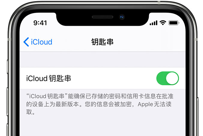 城关苹果手机维修分享在 iPhone 上开启 iCloud 钥匙串之后会储存哪些信息 