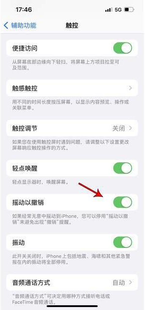 城关苹果手机维修分享iPhone手机如何设置摇一摇删除文字 