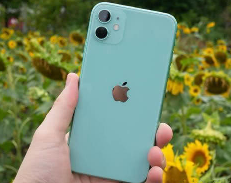 城关苹果维修点分享iPhone 11锁屏密码认知与使用科普 